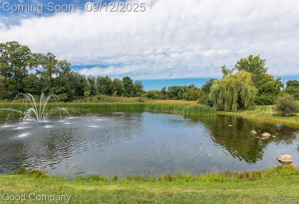 56729 Longhorn Drive, Shelby Twp, MI 48316 — Photo 37