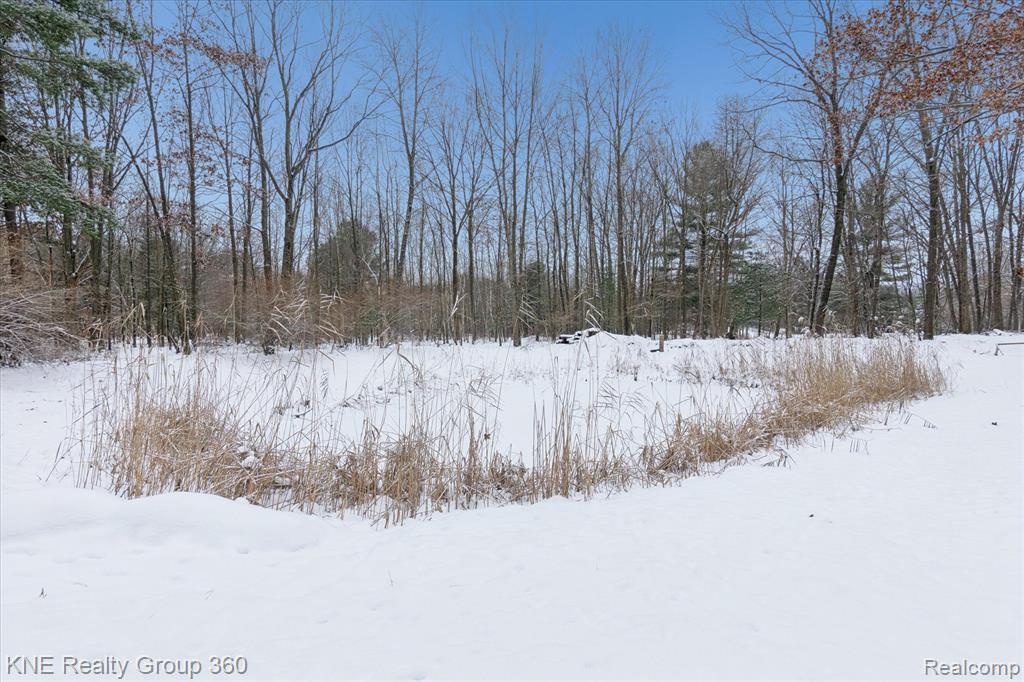 13165 Ithaca Road, St. Charles, MI 48655 — Photo 48