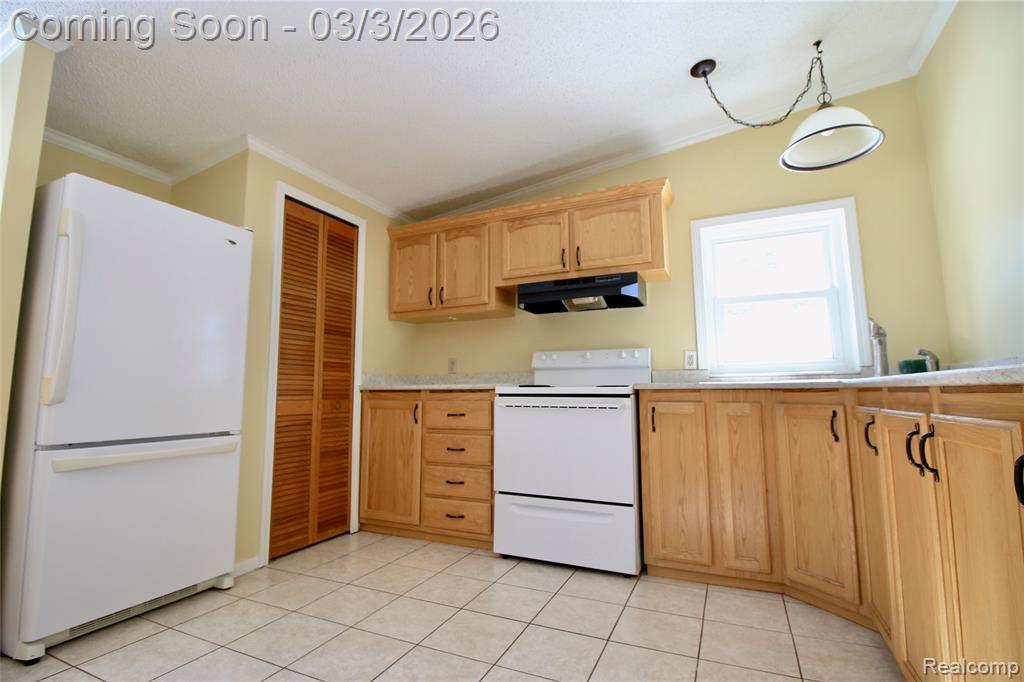 11250 S New Lothrop Road, Durand, MI 48429 — Photo 5
