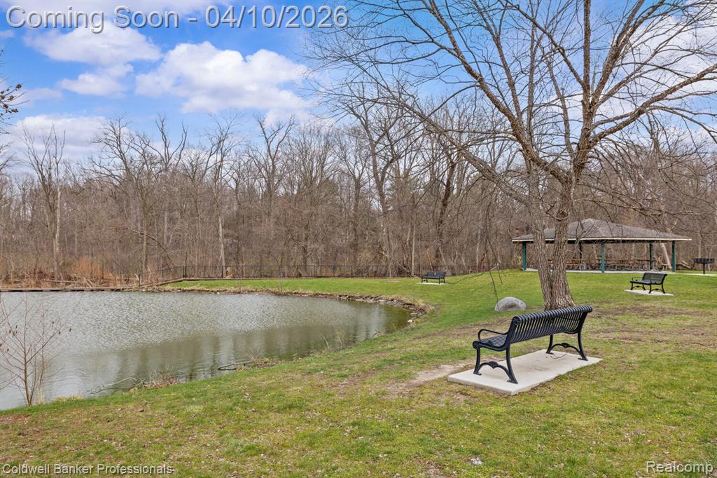 46079 Sunset Street, Northville, MI 48167 — Photo 39