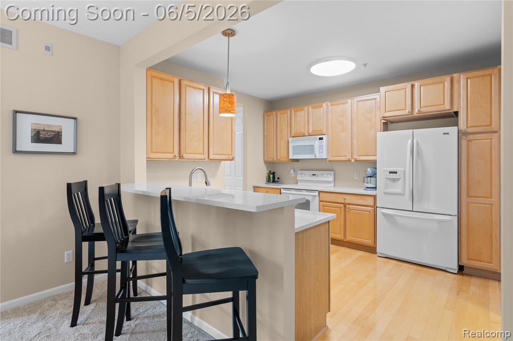 423 Patriot Street, 176, Canton, MI 48188 — Photo 13