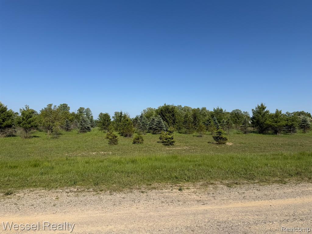 0 Windmill Lane, Imlay City, MI 48444