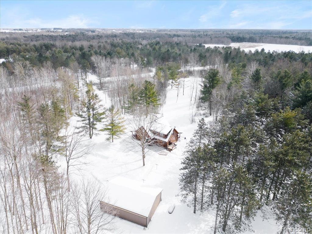 6613 BLACK RIVER Drive, Grant, MI 48032 — Photo 55