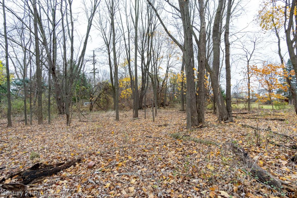 LOT 1 W WALTON, Waterford, MI 48329 — Photo 21