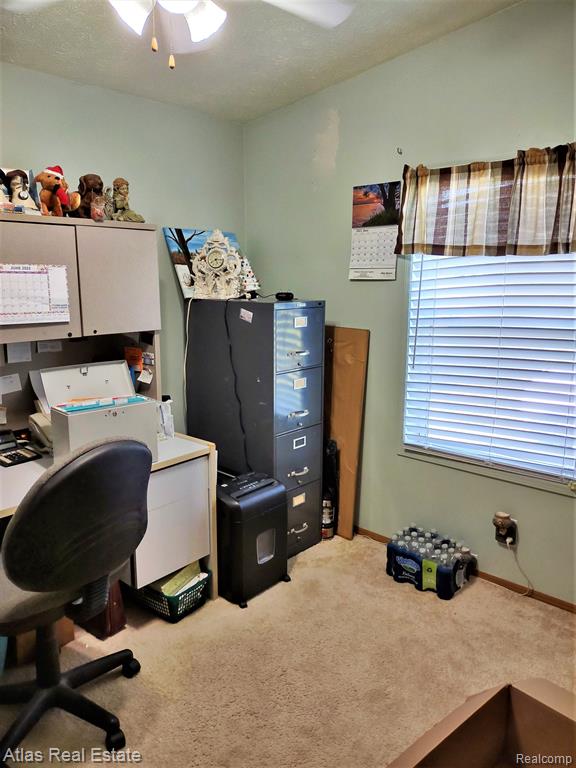 78 W BARNES Road, Fostoria, MI 48435 — Photo 22