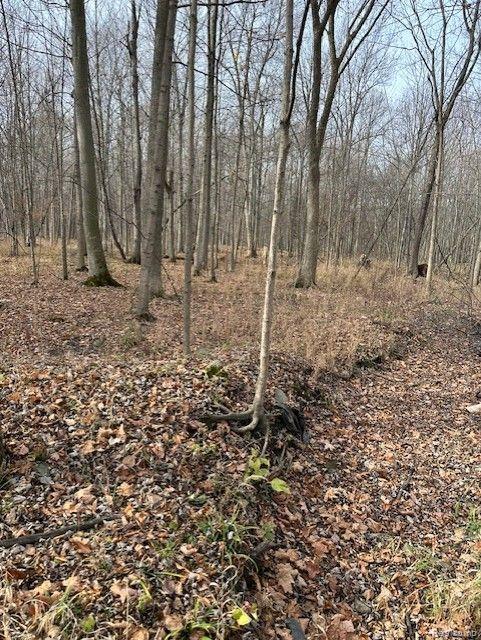 8438 JORDAN Road, Grand Blanc, MI 48439 — Photo 12