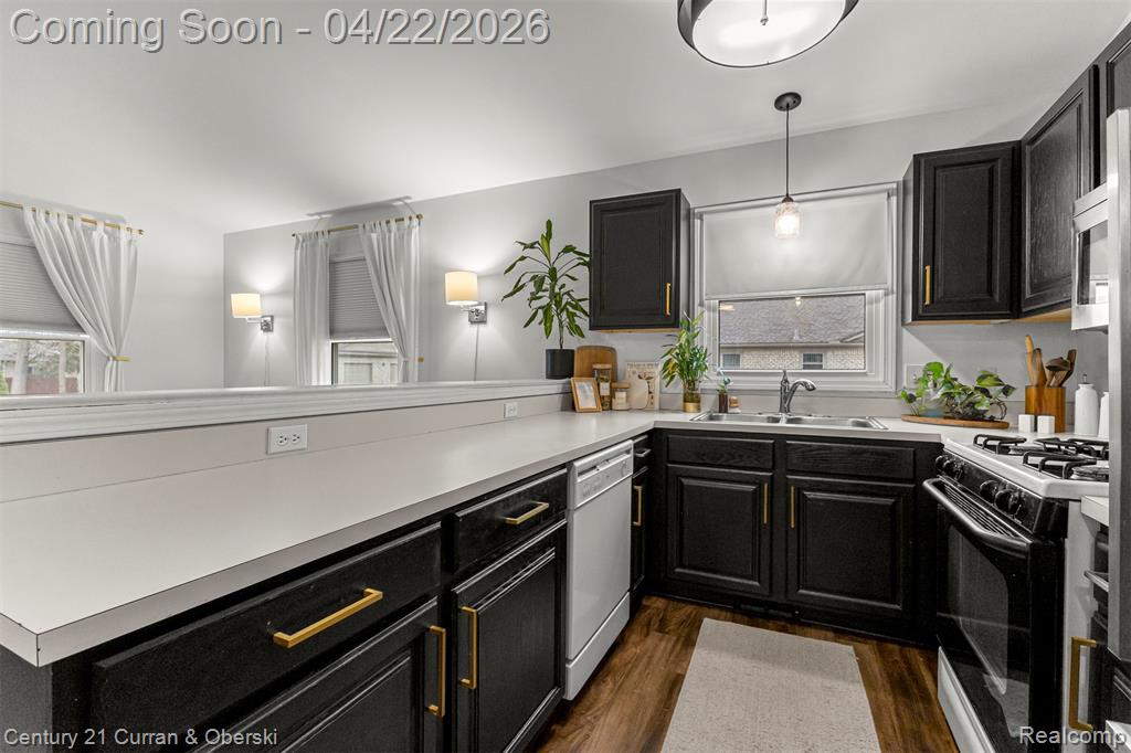 41812 King Edward Court, Clinton Twp, MI 48038 — Photo 16