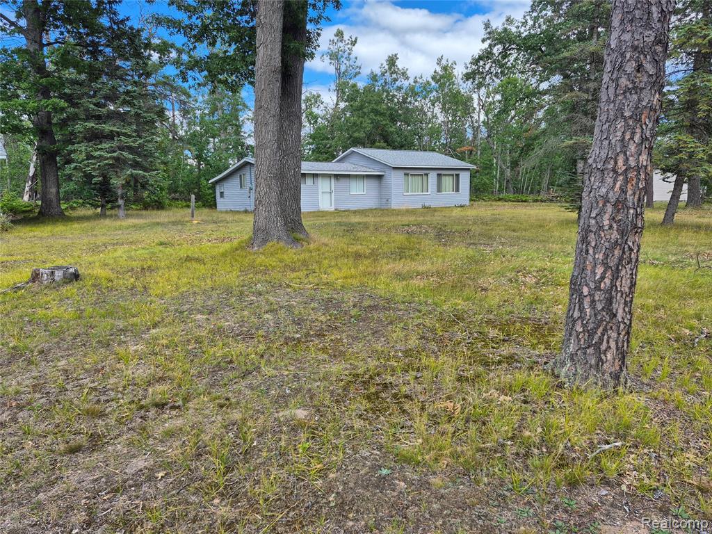 11864 Spikehorn Road, Johannesburg, MI 49751 — Photo 5