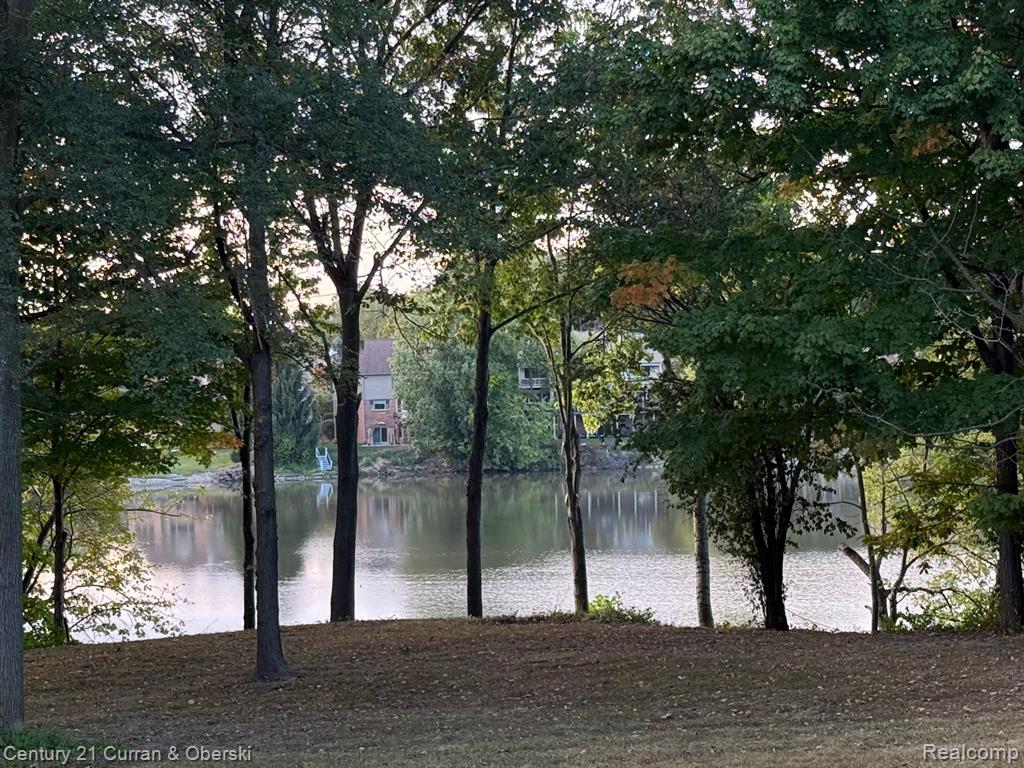 42620 Bradner Road, Northville, MI 48168 — Photo 2
