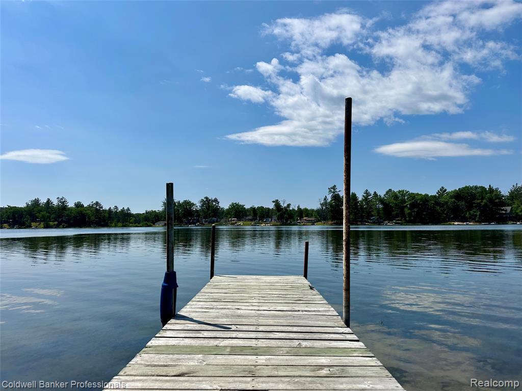 7351 Chain Lake Drive, South Branch, MI, 48761
