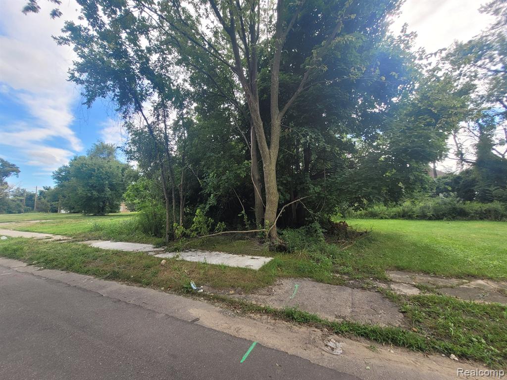 3443 BEALS Street, Detroit, MI 48214 — Photo 4