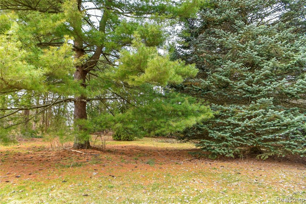 Lot 64 Merry Road, Waterford, MI 48328 — Photo 11