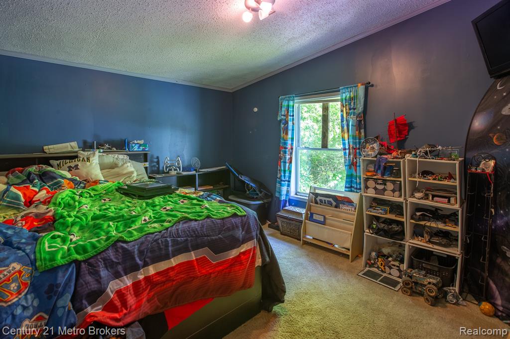 6100 Otis Lake Road, Delton, MI 49046 — Photo 16