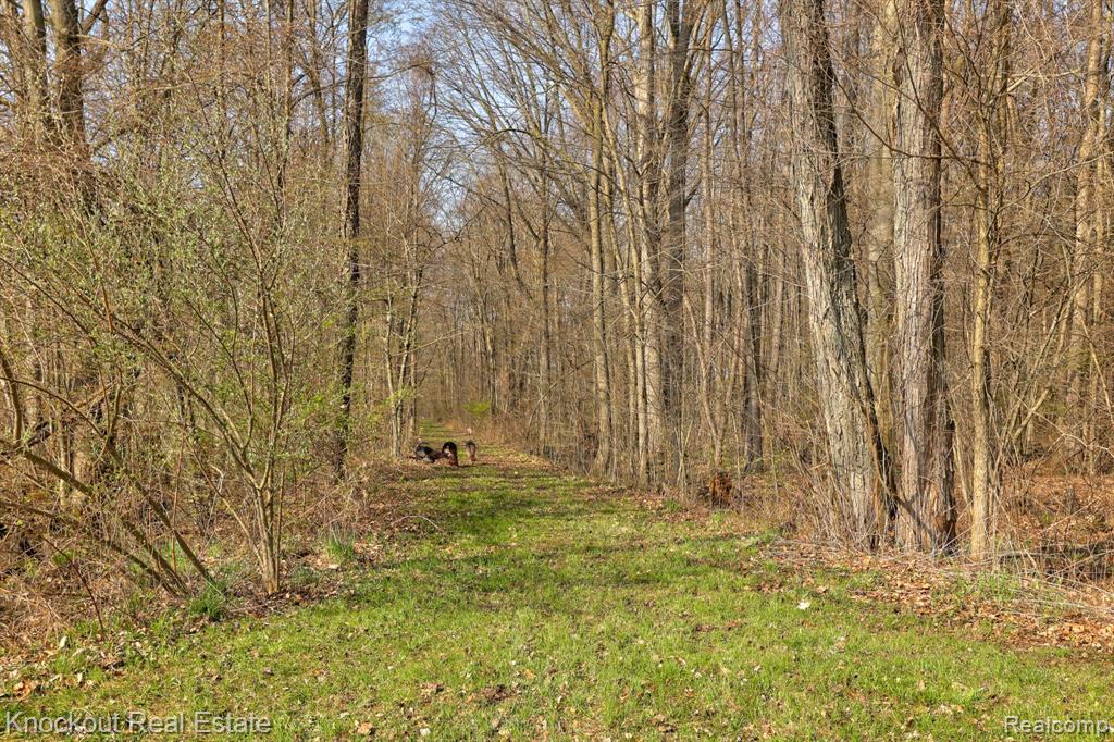 13319 Blueberry Lane, Otter Lake, MI 48464 — Photo 50