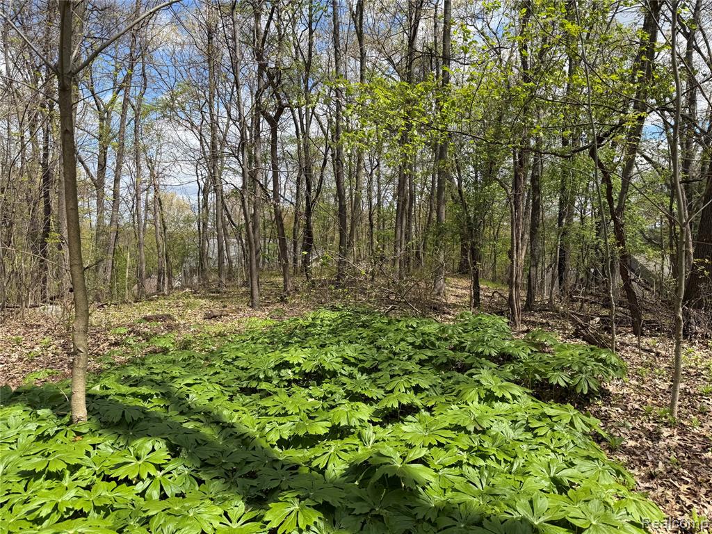 Lot 25 Hidden Ridge Trail, Fenton, MI 48430 — Photo 6