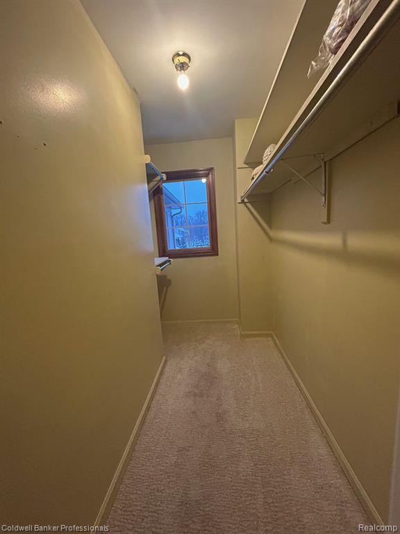 4896 Royal Cove Drive, Shelby Twp, MI 48316 — Photo 19