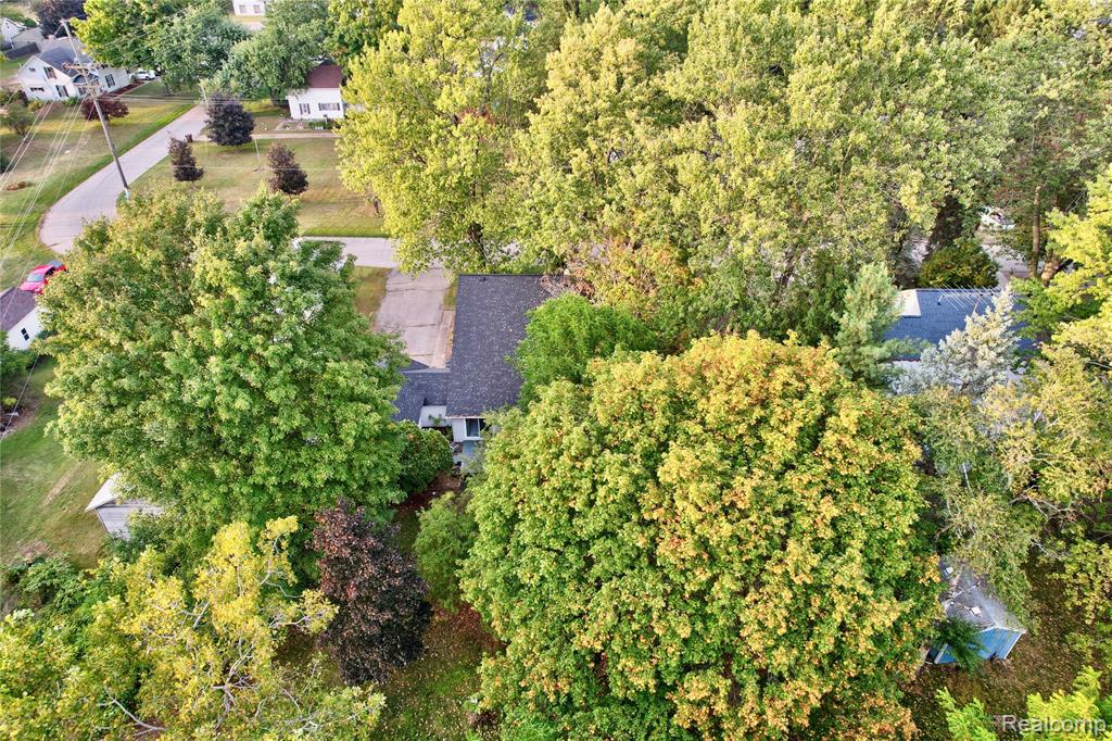 229 W Maple Street, Elsie, MI 48831 — Photo 41