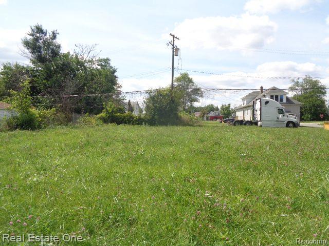 13291 SPARLING Street, Hamtramck, MI 48212 — Photo 4