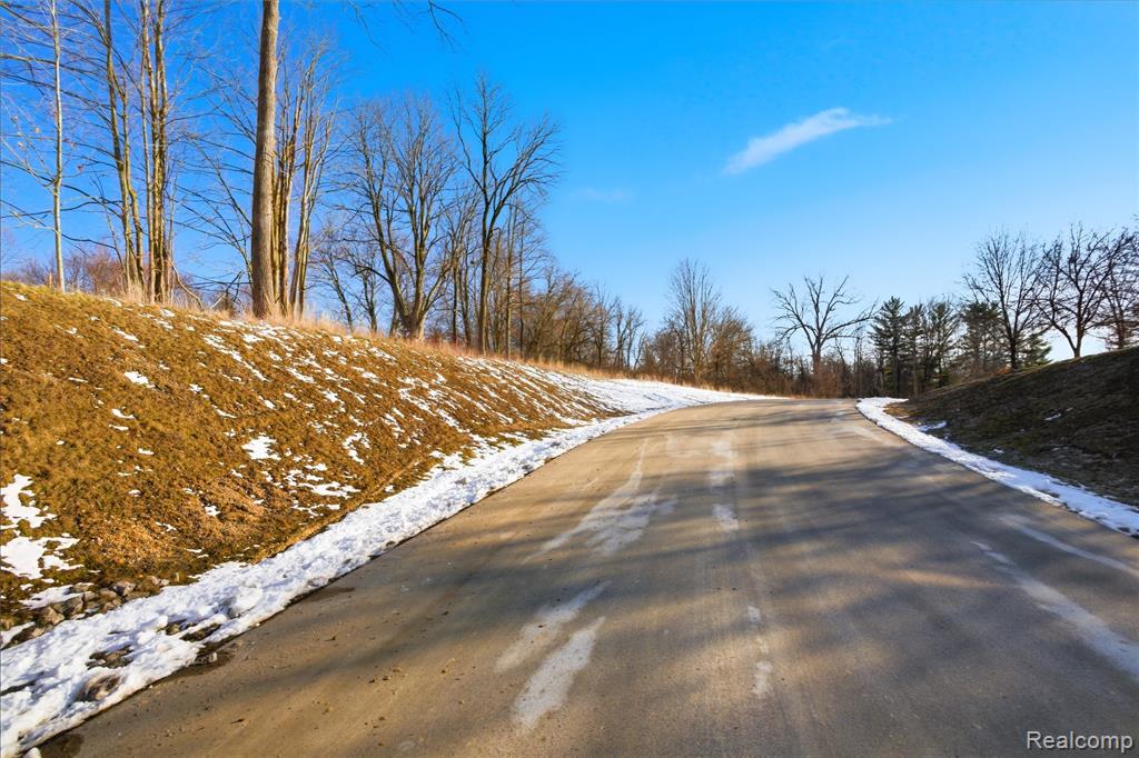 4035 Metamora Ridge Road, Metamora, MI 48455 — Photo 6