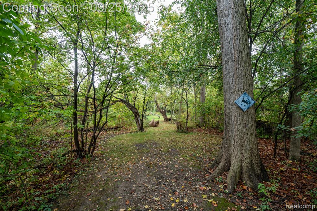 42733 Heydenreich Road, Clinton Twp, MI 48038 — Photo 37