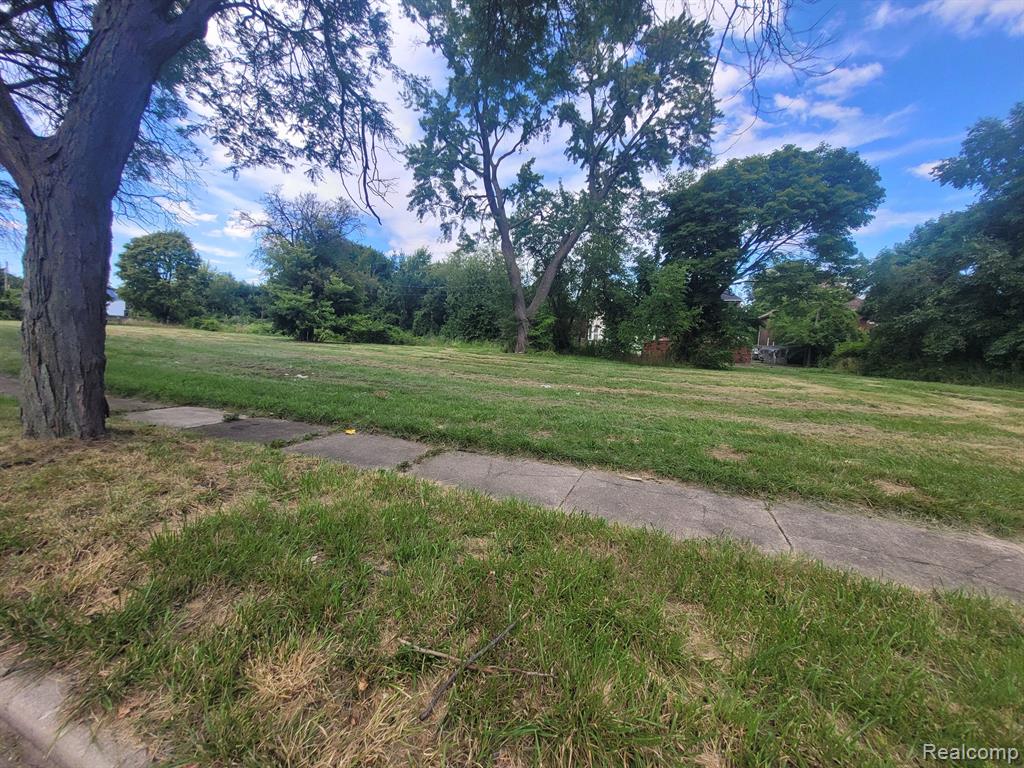 3254 CANTON Street - Photo 4