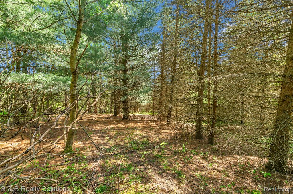 2864 N BLACKS CORNERS Road, Imlay City, MI 48444 — Photo 48