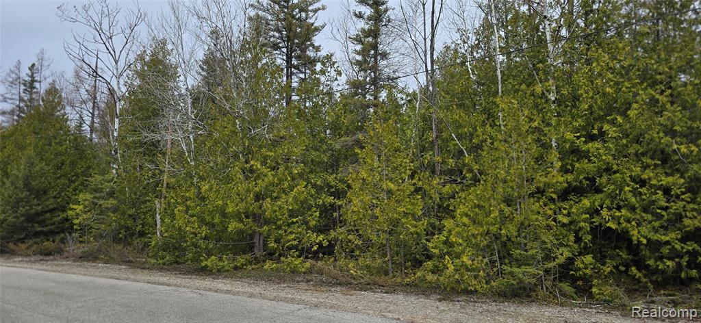 VL Lot 332 Balsam Drive, Presque Isle, MI 49777 — front exterior