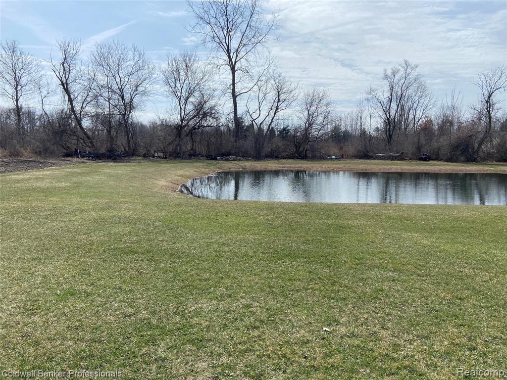 8705 Whittaker Road, Ypsilanti, MI 48197 — Photo 7