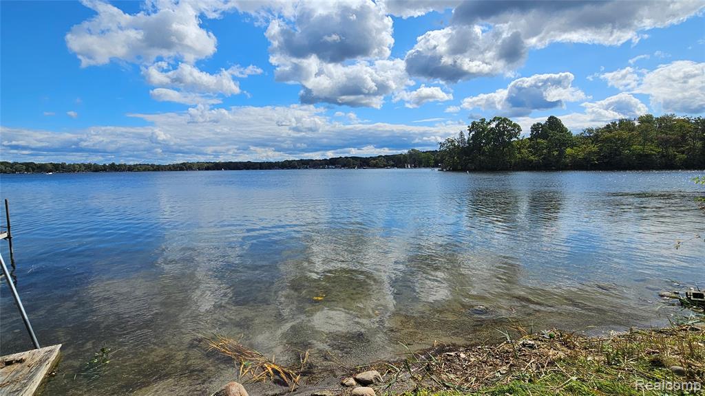 9620 Base Lake Rd, Pinckney, MI 48169 — Photo 7