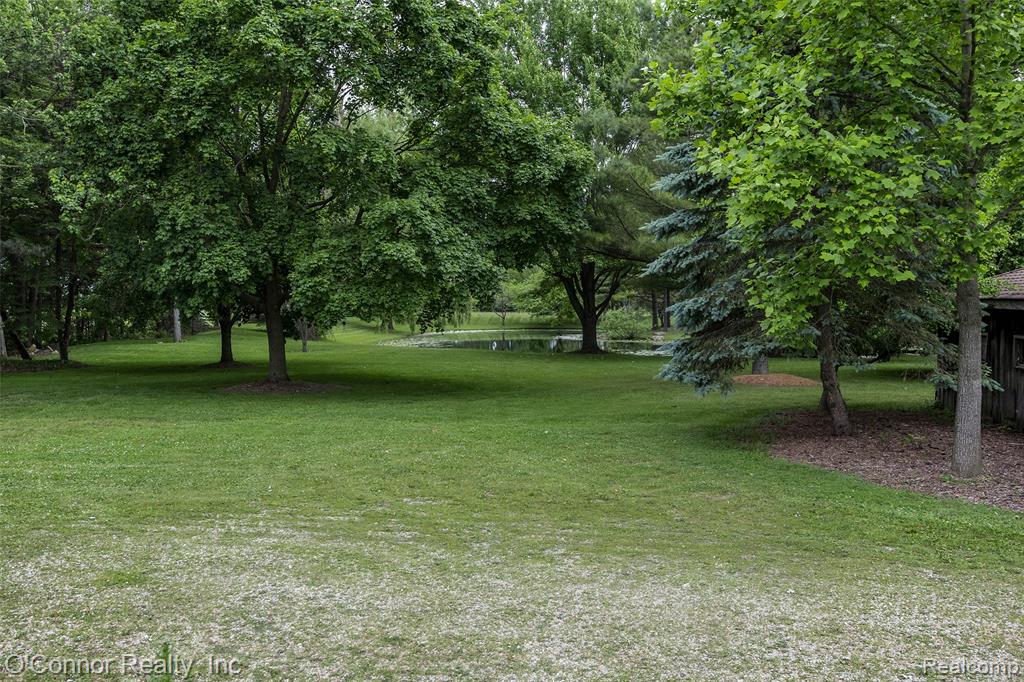4304 Church Road, Casco, MI 48064 — Photo 5