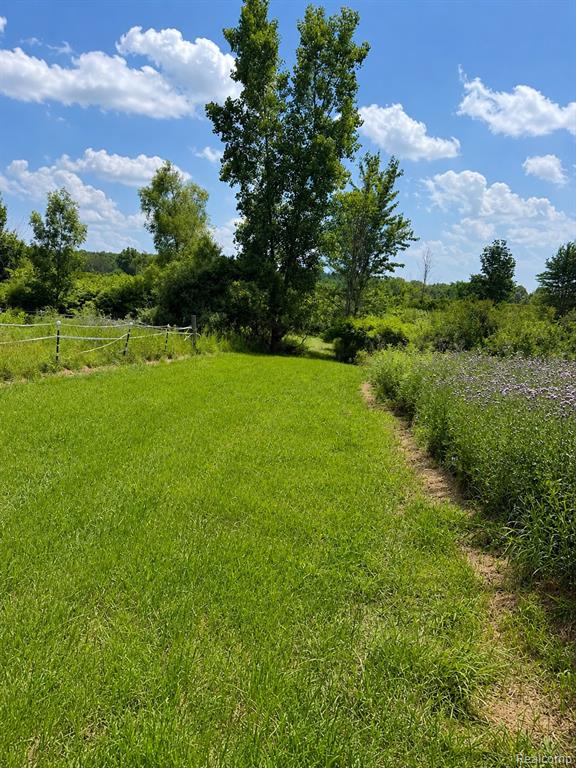 12449 Norman Road, Yale, MI 48097 — Photo 2