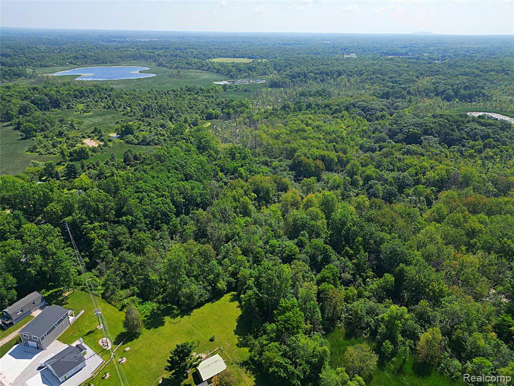 412 E Shore Drive, Whitmore Lake, MI 48189 — Photo 64