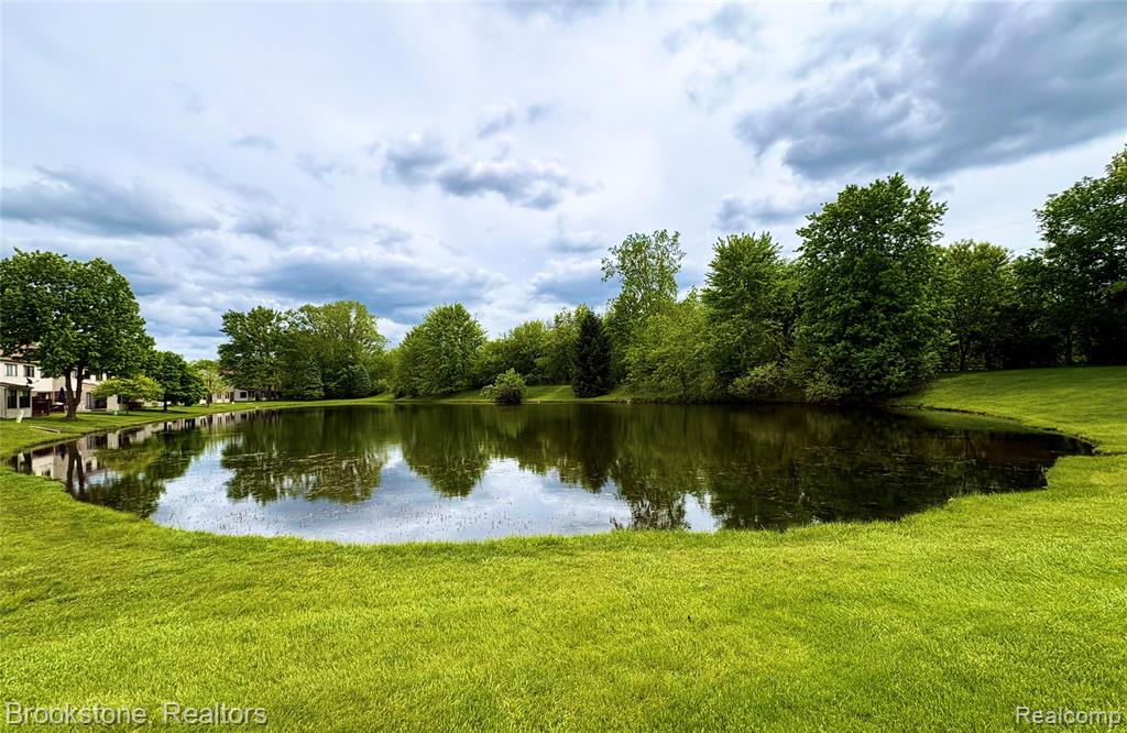 62401 Raleigh Court, 4, South Lyon, MI 48178 — Photo 3