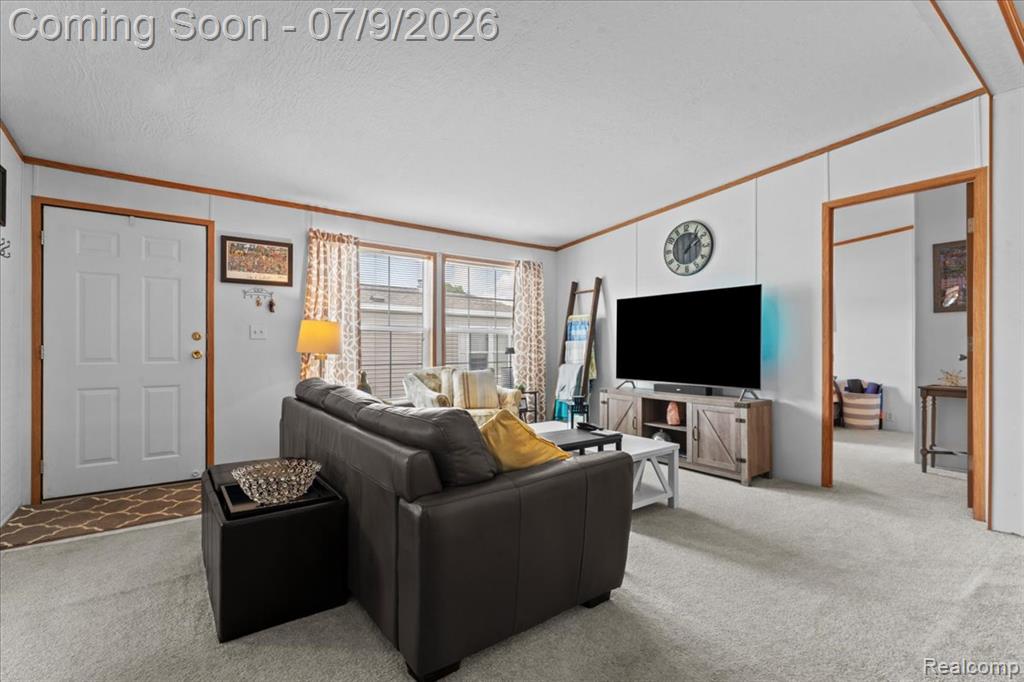 49770 Elk Trail, Utica, MI 48315 — Photo 4