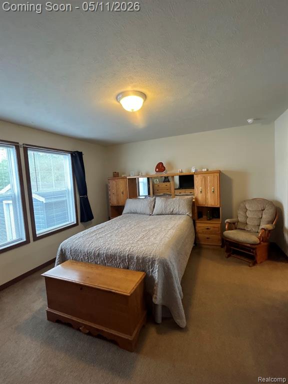 9680 Townsquare Boulevard, Fenton, MI 48430 — Photo 7