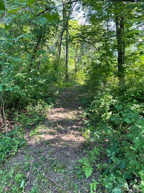 VL Denton Hills Road, Fenton, MI 48430 — Photo 3