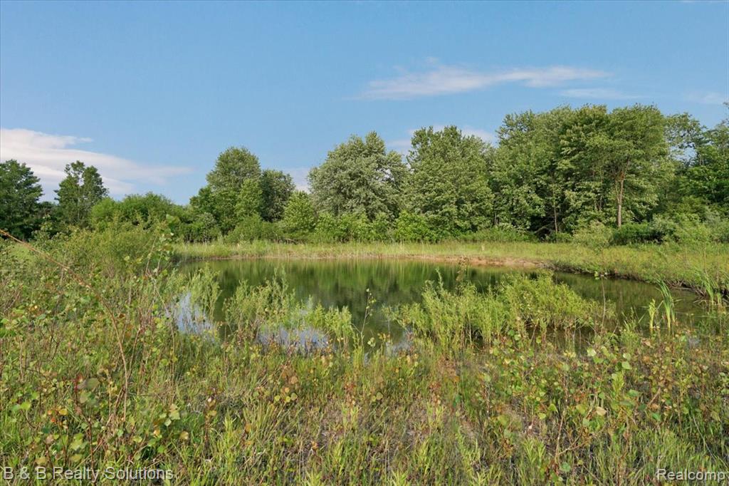 437 Angle Road, Lapeer, MI 48446 — Photo 33