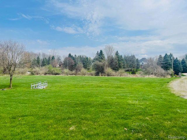 71423 E Pond Creek Drive, Bruce, MI 48065 — Photo 4