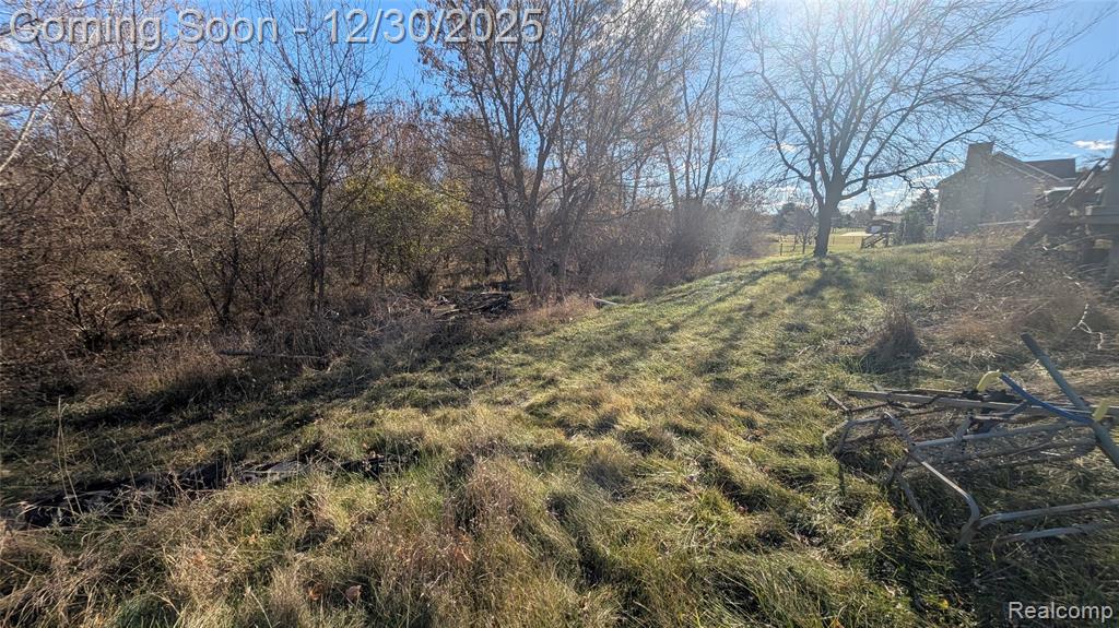 4109 Loves Creek Drive, Howell, MI 48843 — Photo 14