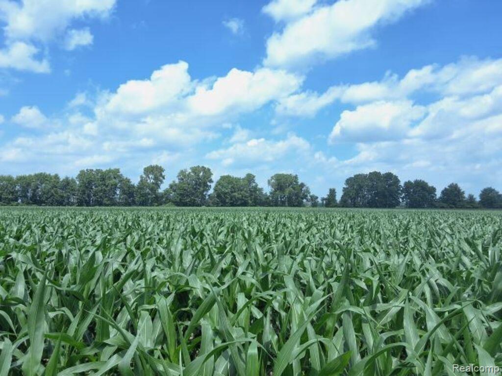 AUCTION Lot #3 10 acres Dryden Road, Capac, MI — front exterior