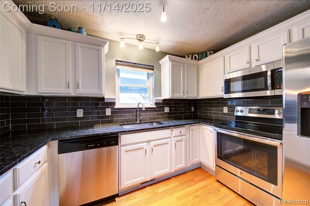 117 Turtle Trace, Pinckney, MI 48169 — Photo 9