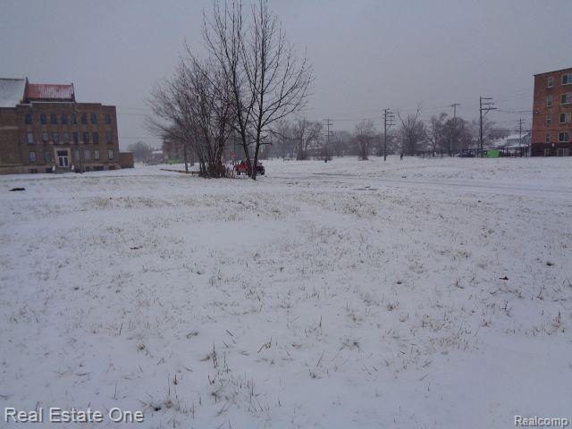 2691 ROCHESTER Street, Detroit, MI 48206 — Photo 14