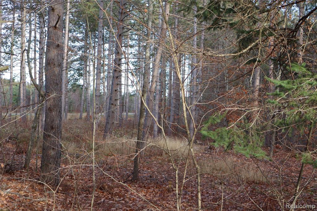 #A W Pendills Lake Road, Brimley, MI 49715 — Photo 41
