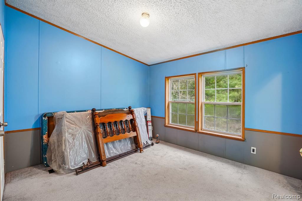 3363 N Branch Road, North Branch, MI 48461 — Photo 21