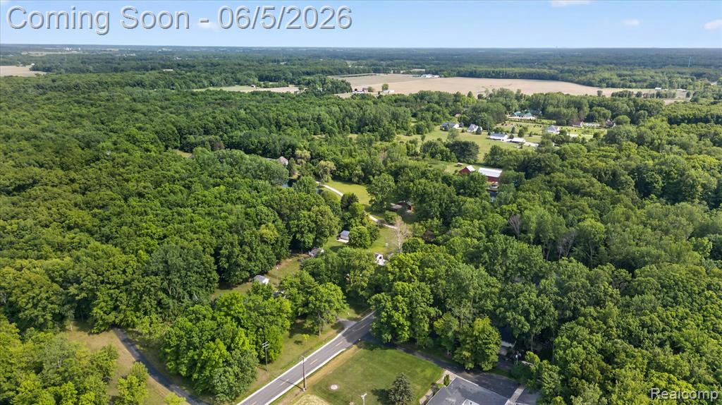 2083 Wells Road, Dundee, MI 48131 — Photo 51