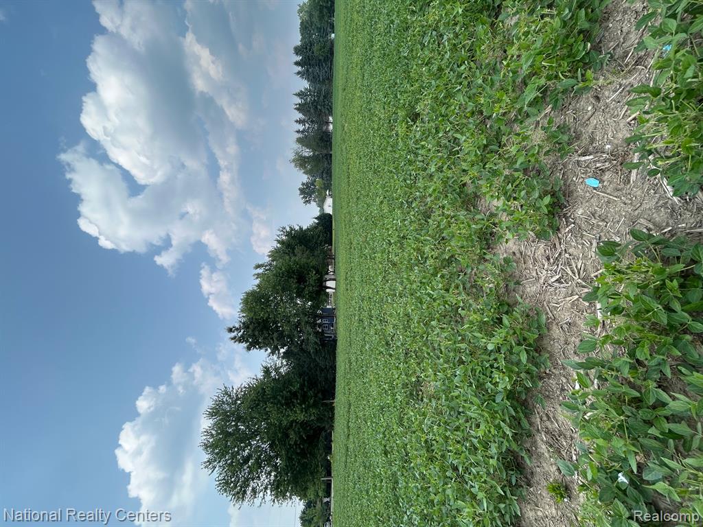 5438 N Henderson Road, Davison, MI 48423 — Photo 3