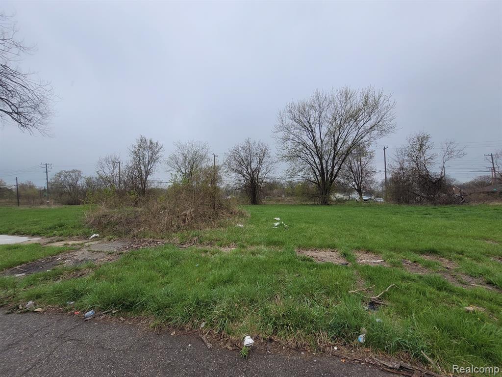 3927 BEACONSFIELD Street, Detroit, MI 48224 — Photo 2