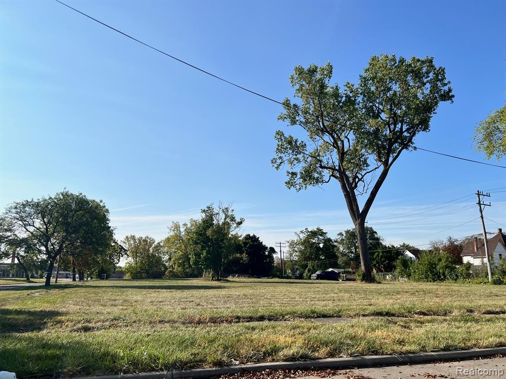2105 Antoinette Street, Detroit, MI 48208 — Photo 3