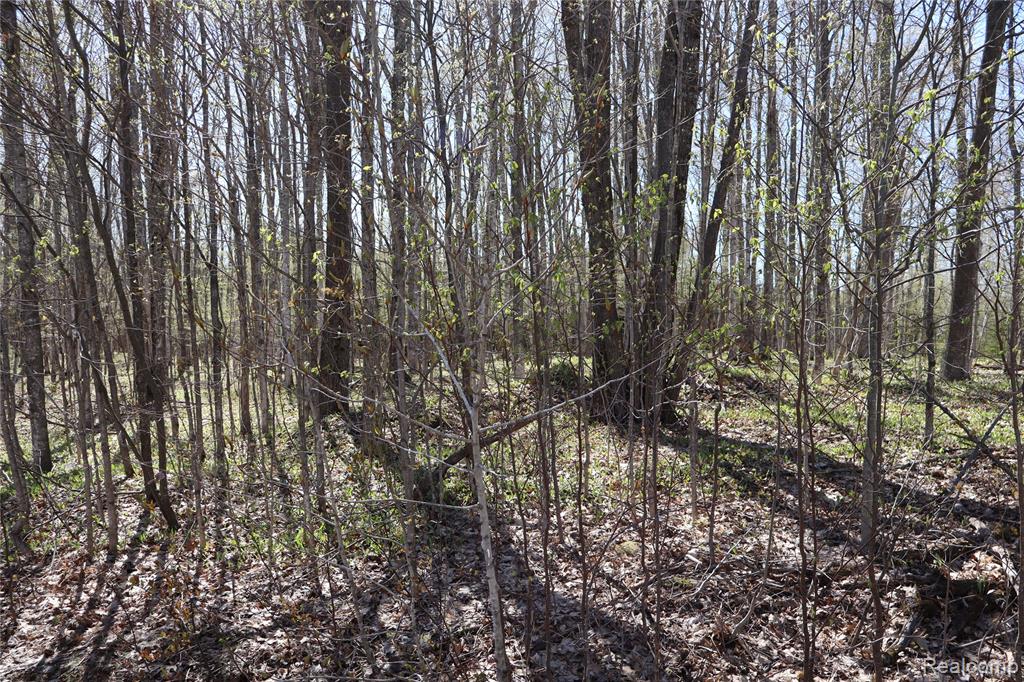 5575 E 26 Mile Road, Pickford, MI 49774 — Photo 33