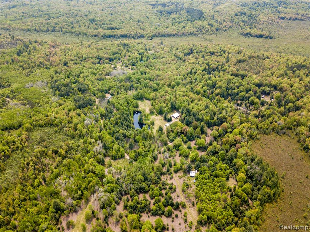 5960 N Trail SE, Kalkaska, MI 49646 — Photo 43